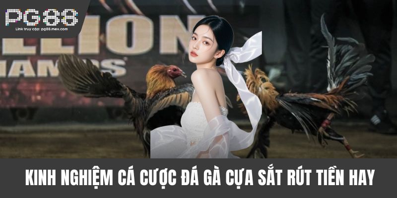 Kinh nghiệm cá cược đá gà cựa sắt rút tiền hay
