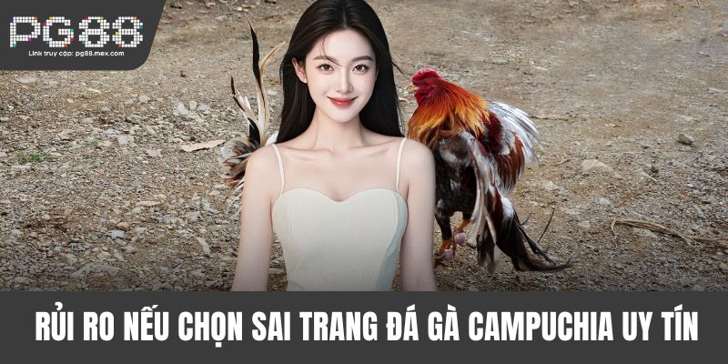 Rủi ro nếu chọn sai trang đá gà Campuchia uy tín
